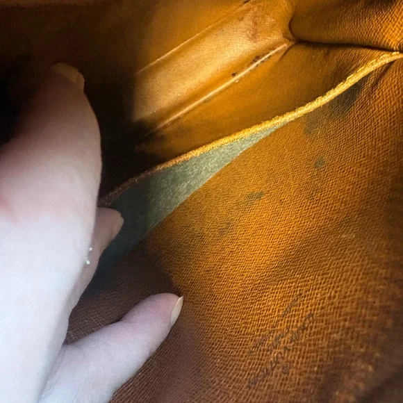 Auth Louis Vuitton Amazon monogram bag No Strap - Picture 5 of 11